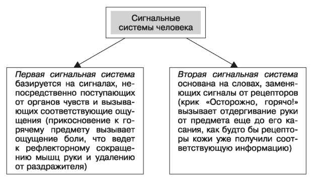 pdf домашние