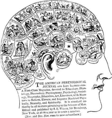Схематическое изображение зон черепа человека с «буграми» соответствующих склонностей и способностей в американском френологическом журнале XIX века